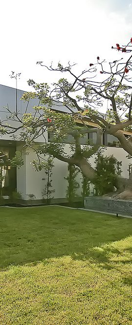 Caroldale Library