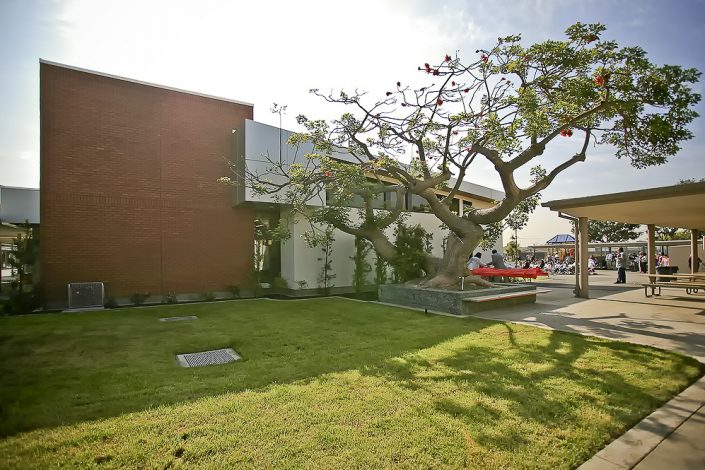 Caroldale Library