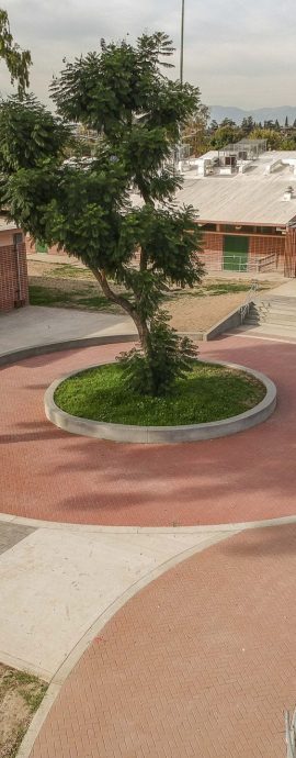 Dexter MS New Courtyard